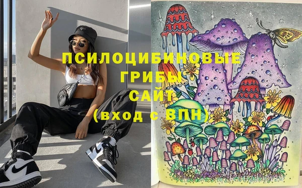 дмт Алзамай