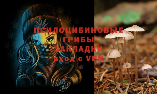 дмт Алзамай