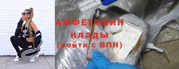 дмт Алзамай